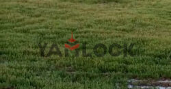 أرض 4 فدان للبيع علي طريق بورسعيد الاسماعيليه علي الكيلو 24 من بورسعيد