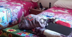 شاليه 104 م² للبيع بقريه اكوا فيو الكيلو 93 الساحل الشمالي