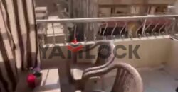 شقة 250 م² للايجار مفروش في شارع عمر حفني – مدينة نصر