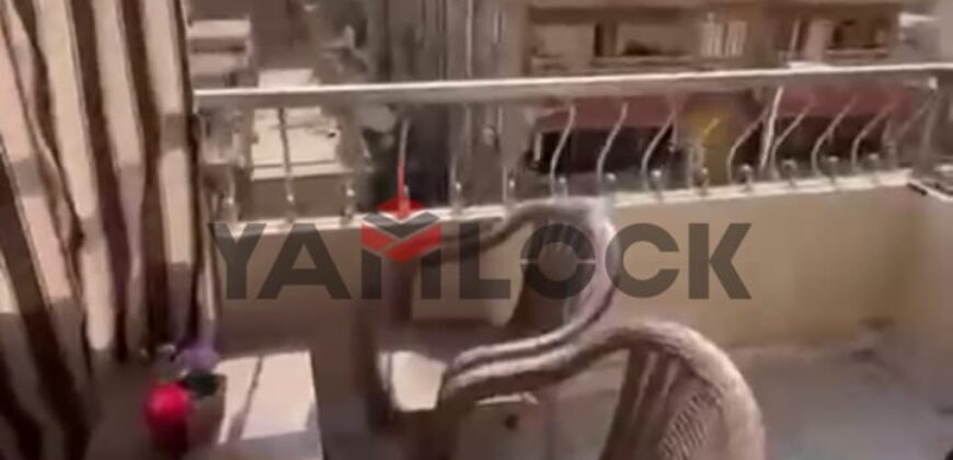 شقة 250 م² للايجار مفروش في شارع عمر حفني – مدينة نصر