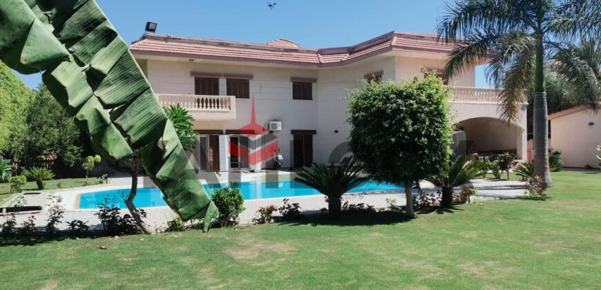 فيلا مستقلة 1600 م² للبيع بكمبوند اساتذه كليه الطب كينج مريوط مدخل افريكانا -جنينه كبيره جدا _اشجار فاكهه_يوجد بيت للكلب