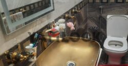 شقة 235 م² للبيع في حسام الدين بسيوني مدينة نصر – القاهرة شقة 235 م² للبيع في حسام الدين بسيوني مدينة نصر – القاهرة