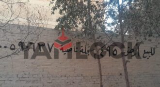 أرض 495 م² للبيع بحدائق حلوان شارع مسجد محطة مترو الأنفاق ناصية شارع عبد السلام الخبيرى أرض 495 م² للبيع بحدائق حلوان شارع مسجد محطة مترو الأنفاق ناصية شارع عبد السلام الخبيرى