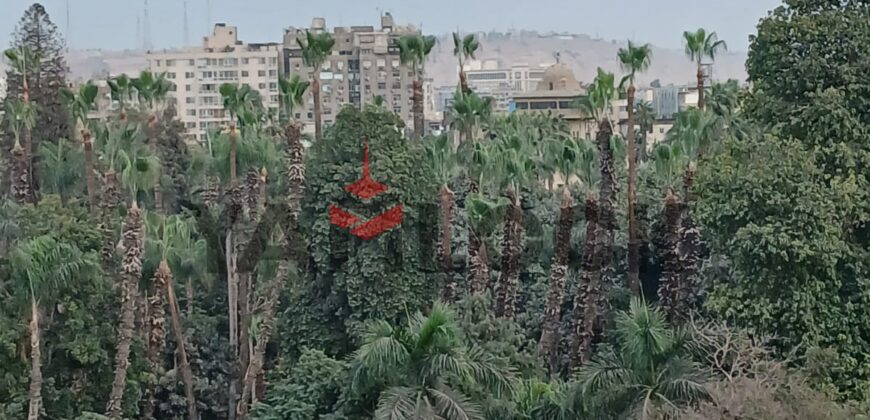 شقة 175 م² للبيع في شارع متحف المنيل