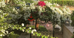 فيلا مستقلة 330 م² للبيع بستون بارك