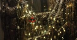 Apartment 350 m² for Sale Fully Finished – Side street view in AlHarm – Giza