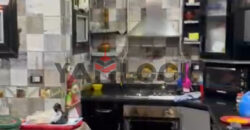 شقة 200 م² للبيع في محرم بك – الاسكندرية شقة 200 م² للبيع في محرم بك – الاسكندرية