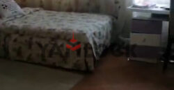 شقة 135 م² للبيع خلف هارديز المهندسين خامس عماره من جامعه الدول