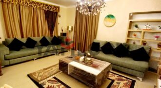 شقة 135 م² للايجار مفروش في يافع بن يزيد امتداد شارع شارل دي جول -الدقي