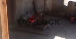 شقة 250 م² للبيع بالاسكندريه في بولكلى شارع عبدالعزيز فهمى