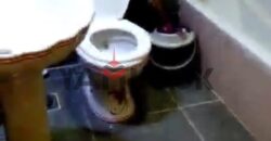 شقة 80 م² للايجار في جسر السويس خلف حديقة بدر شارع العشرين بجوار كشري الزعيم