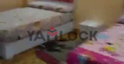 شقة 80 م² للايجار في جسر السويس خلف حديقة بدر شارع العشرين بجوار كشري الزعيم