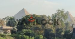 شقة 300 م² للبيع في ميدان الرماية أمام المتحف الكبير خلف البنك الاهلي – الهرم