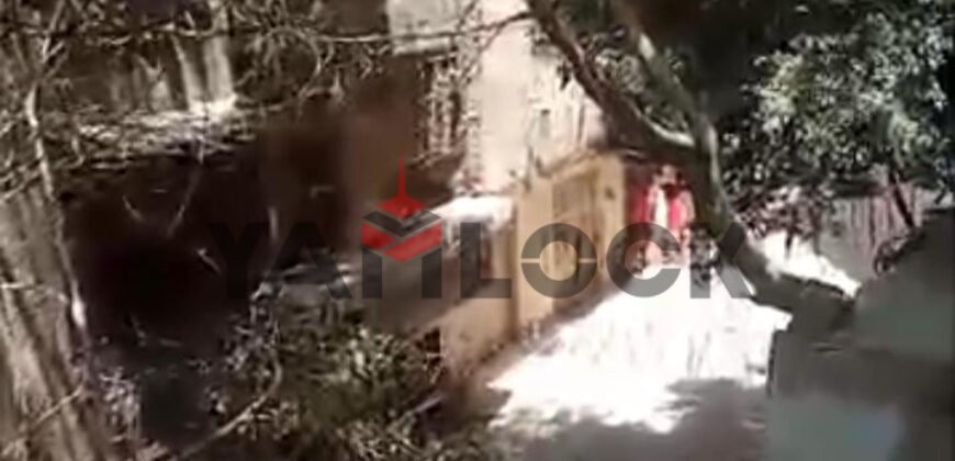 شقة 71 م² للبيع في شارع الابرق جزيرة الدهب الزمالك – الجيزة