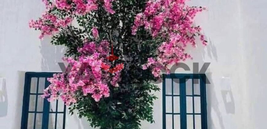 فيلا توين هاوس 155 م² للبيع برأس الحكمة ماونتن فيو الساحل الشمالي