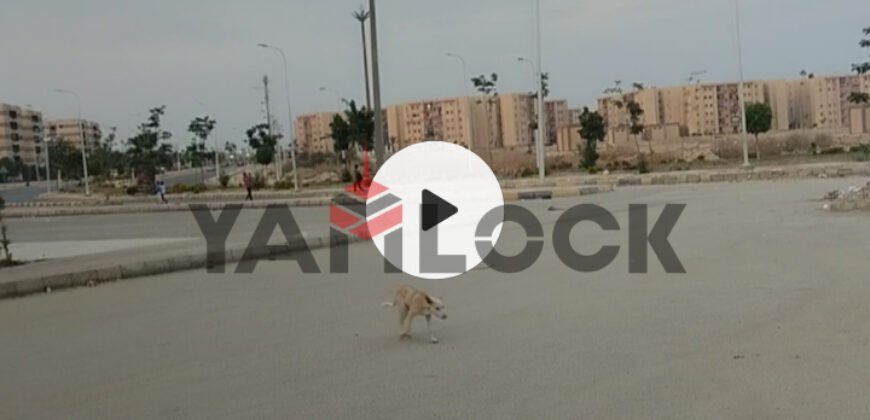 شقة 90 م² للبيع في اللوتس حدائق اكتوبر
