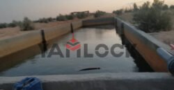 مزرعة 10 فدان للبيع 40000 م² في الوادي الجديد العدالة وادى النطرون