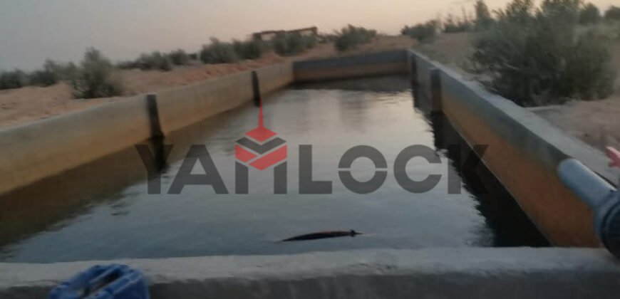 مزرعة 10 فدان للبيع 40000 م² في الوادي الجديد العدالة وادى النطرون
