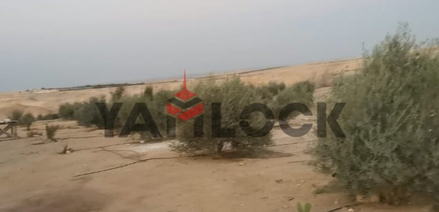 مزرعة 10 فدان للبيع 40000 م² في الوادي الجديد العدالة وادى النطرون