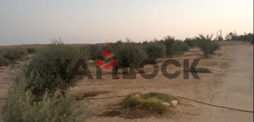 مزرعة 10 فدان للبيع 40000 م² في الوادي الجديد العدالة وادى النطرون