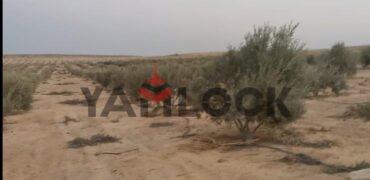 مزرعة 10 فدان للبيع 40000 م² في الوادي الجديد العدالة وادى النطرون