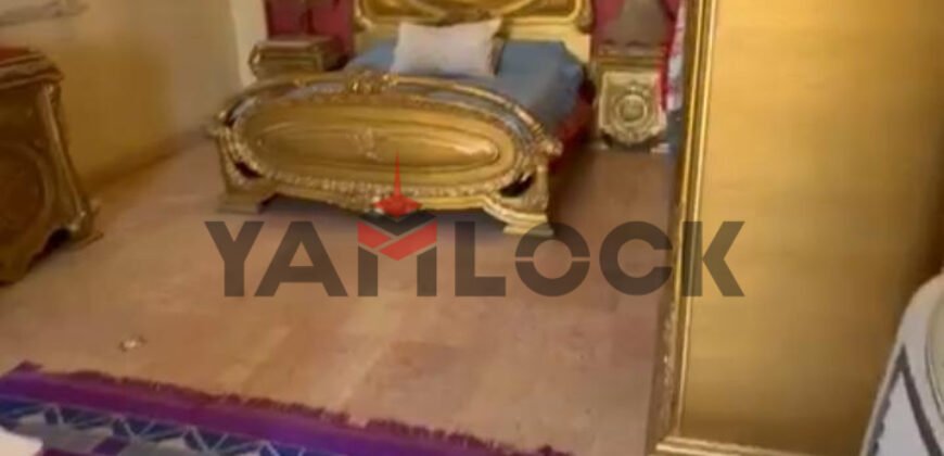 بنتهاوس 500 م² للبيع في شارع ابو داوود الظاهري – مدينة نصر