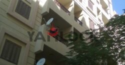 شقة 75 م² للبيع في عمارة العالميه شارع 10/ 47 شاطئ النخيل اكتوبر اسكندريه العجمي