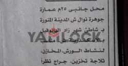 محل تجاري 25 م² للبيع بعمارة جوهرة نوال ش المدينة المنورة بشاطئ شهرزاد الهانوفيل – الاسكندرية محل تجاري 25 م² للبيع بعمارة جوهرة نوال ش المدينة المنورة بشاطئ شهرزاد الهانوفيل – الاسكندرية