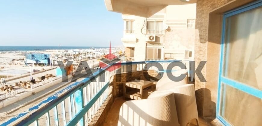 شقة 250 م² للبيع بشارع ( 41 ) بالأسكندرية العجمي – الاسكندرية
