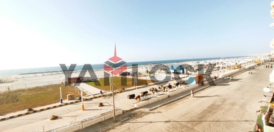 شقة 250 م² للبيع بشارع ( 41 ) بالأسكندرية العجمي – الاسكندرية