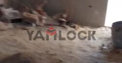 شقة 155 م² للبيع نصف تشطيب في شارع إبراهيم مسعد – طنطا