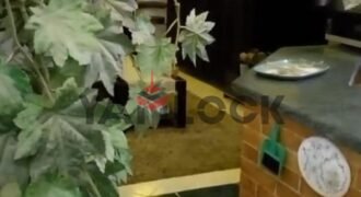 شقة 85 م² للبيع بقرية النخيل اكتوبر اسكندريه الكيلو ٢١ – الاسكندرية