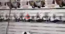شقة 182 م² للبيع شارع منصور قريبه من ميدان الششتاوى ومن شارع ١٠