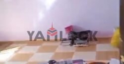مبنى سكني 750 م² للبيع فى بالوظه بالقرب من اسكان بورسعيد الجديده وقربه كنوز – شمال سيناء