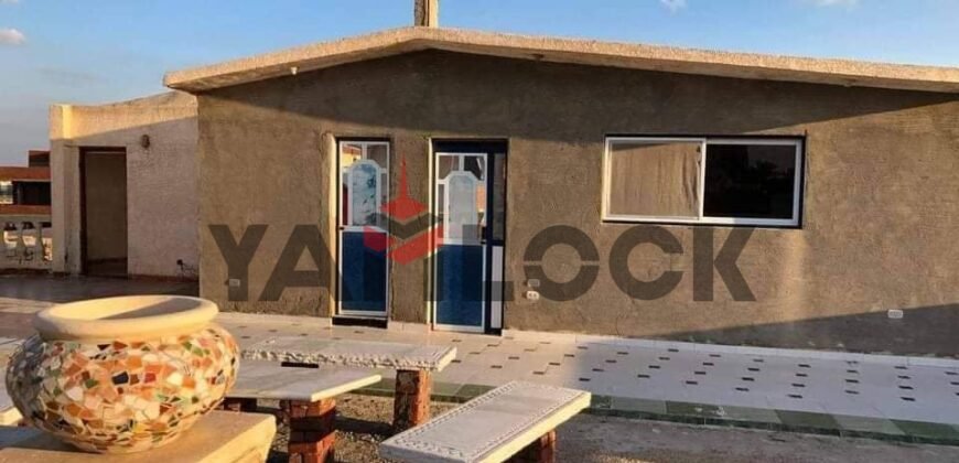 فيلا مستقلة 462 م² للبيع تشطيب سوبر لوكس إطلالة حديقة في الاسكندرية