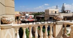 فيلا مستقلة 462 م² للبيع تشطيب سوبر لوكس إطلالة حديقة في الاسكندرية فيلا مستقلة 462 م² للبيع تشطيب سوبر لوكس إطلالة حديقة في الاسكندرية