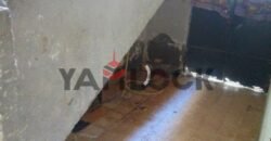 مبنى سكني ارضي واول علوي 120 م² للبيع في العجمي ابو يوسف قريب من شارع اسكندريه مطروح
