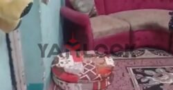 مبنى سكني 85 م² للبيع في دمنهور شبرا شارع عبد السلام عارف الرحباية – البحيرة مبنى سكني 85 م² للبيع في دمنهور شبرا شارع عبد السلام عارف الرحباية – البحيرة