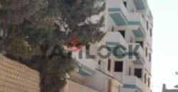 مبنى سكني 530 م² للبيع خلف مدرسة الاورمان الفندقية – الاسكندرية