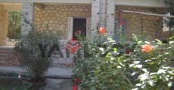 مبنى سكني 530 م² للبيع خلف مدرسة الاورمان الفندقية – الاسكندرية