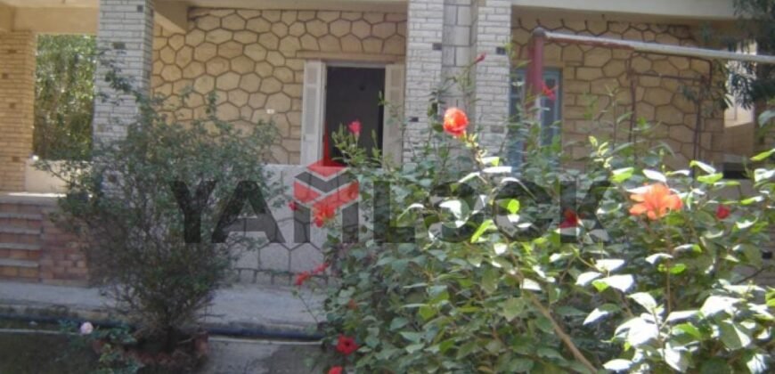 مبنى سكني 530 م² للبيع خلف مدرسة الاورمان الفندقية – الاسكندرية
