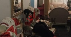 دوبلكس 250 م² للبيع في في البنفسج عمارات إطلالة حديقة في القاهرة الجديدة دوبلكس 250 م² للبيع في في البنفسج عمارات إطلالة حديقة في القاهرة الجديدة