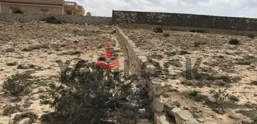 أرض 2486 م² للبيع في شارع المشير ببرج العرب – الاسكندرية
