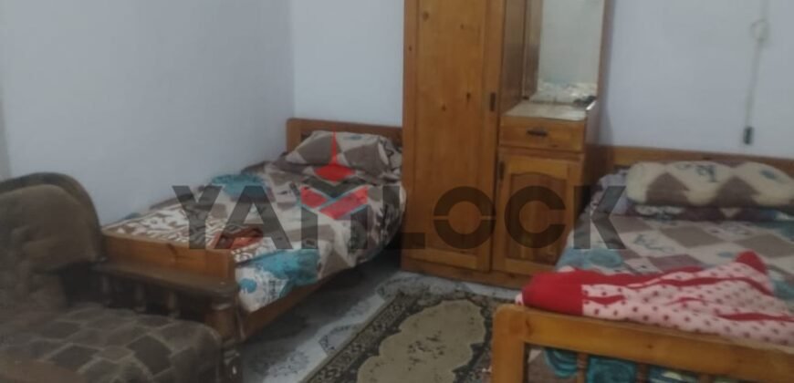 شاليه 80 م² للايجار اليومي في منطقة الخلفاء الراشدين- العريش