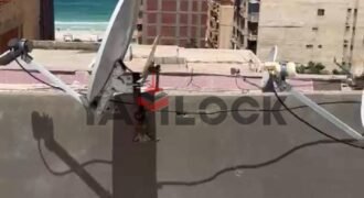 شقة 200 م² للبيع في بيانكي فلور العجمي – الاسكندرية شقة 200 م² للبيع في بيانكي فلور العجمي – الاسكندرية