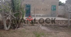 أرض 266 م² للبيع في منطقه السلام – الاسكندرية
