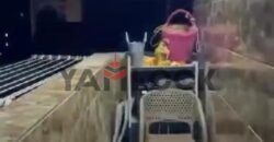 شقة 143 م² للبيع في شارع الشيخ عبد الحليم محمود – الاسكندرية
