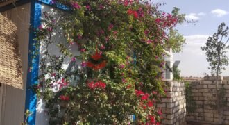 مزرعة 2100 م² للبيع داخل كمبوند منتجع وعزبة كايرو ريف – الفيوم مزرعة 2100 م² للبيع داخل كمبوند منتجع وعزبة كايرو ريف – الفيوم