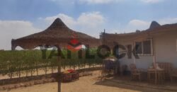 مزرعة 2100 م² للبيع داخل كمبوند منتجع وعزبة كايرو ريف – الفيوم