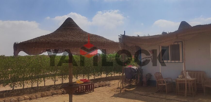 مزرعة 2100 م² للبيع داخل كمبوند منتجع وعزبة كايرو ريف – الفيوم